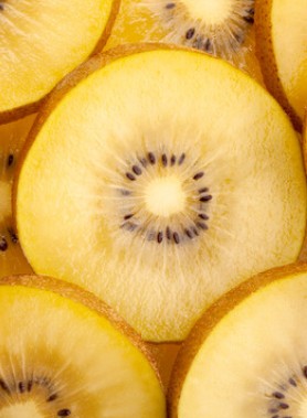 Kiwi JAUNE MINKIGOLD