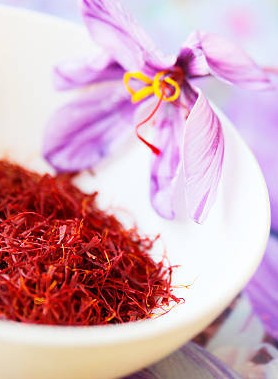 Crocus à SAFRAN